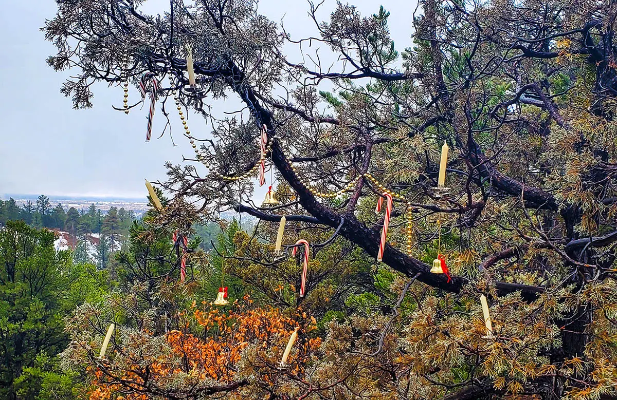 Candy canes and ornaments on a pinon tree overlooking a foggy Taos valley.