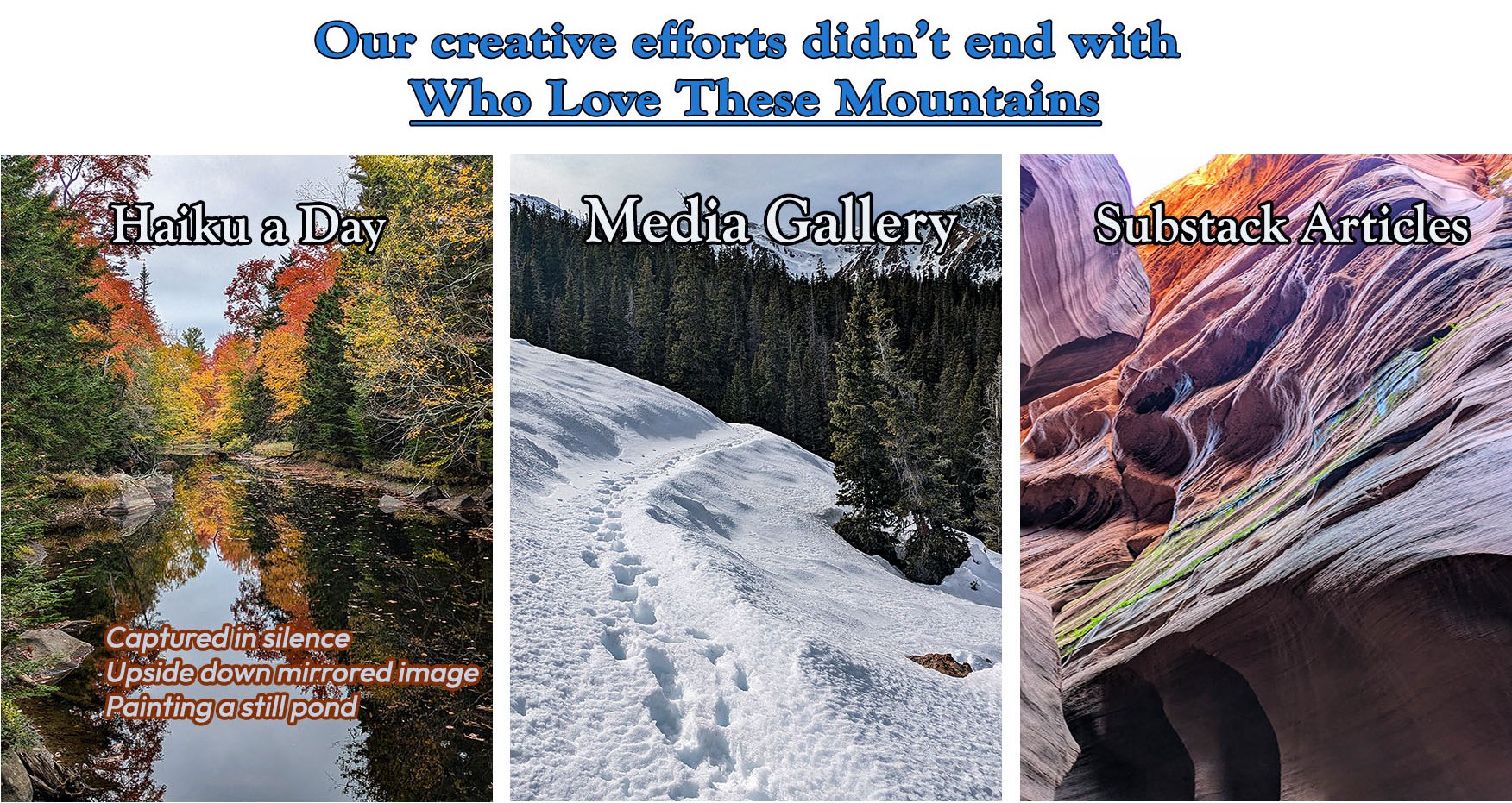 Our creative efforts: Haiku a Day, Media Gallery and Substack Articles